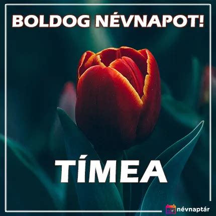 timea névnap|Tímea névnap 2024